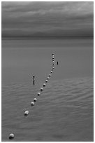 Orange Buoy line, blue hour, South Lake Tahoe, California. USA ( black and white)