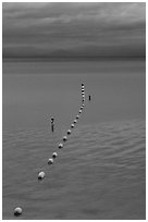 Orange Buoy line, blue hour, South Lake Tahoe, California. USA (black and white)