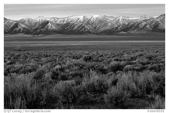 Sagebrush and mountain range. Nevada, USA (black and white)