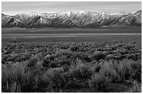 Sagebrush and mountain range. Nevada, USA ( black and white)