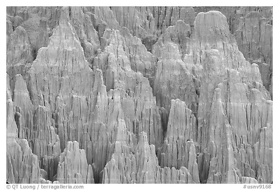 Patterns formed by erosion in the soft bentonite clay, Cathedral Gorge State Park. Nevada, USA (black and white)