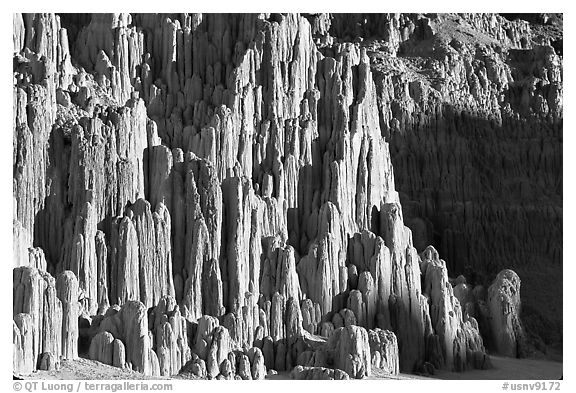 Cathedral-like spires, Cathedral Gorge State Park. Nevada, USA (black and white)