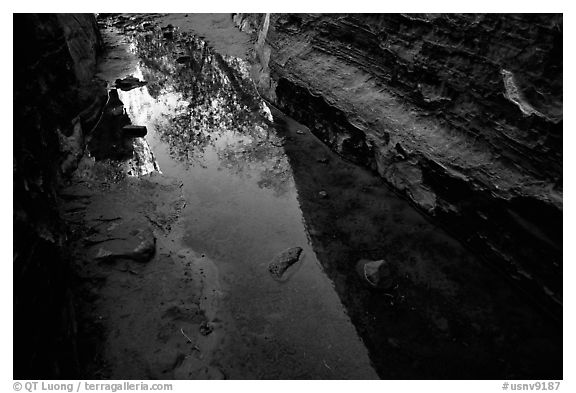 Sandstone walls refected in a spring. Red Rock Canyon, Nevada, USA (black and white)