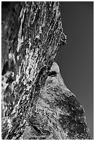 Rock climbers. Red Rock Canyon, Nevada, USA (black and white)