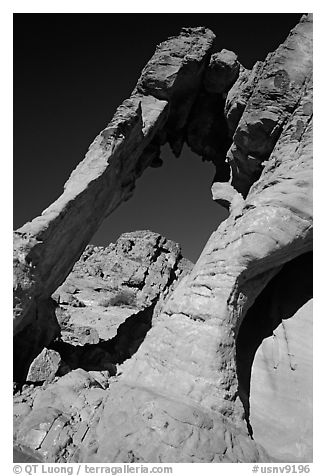 Rock with elephant shape, Valley of Fire State Park. Nevada, USA (black and white)