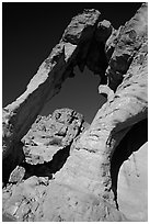 Rock with elephant shape, Valley of Fire State Park. Nevada, USA (black and white)