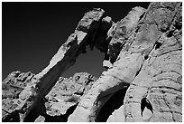 Elephant-shaped rock, Valley of Fire State Park. Nevada, USA (black and white)