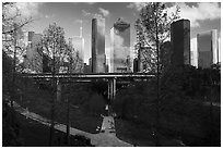 Skyline from park. Houston, Texas, USA ( black and white)