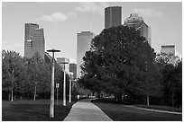 Park, trees, and skyline. Houston, Texas, USA ( black and white)