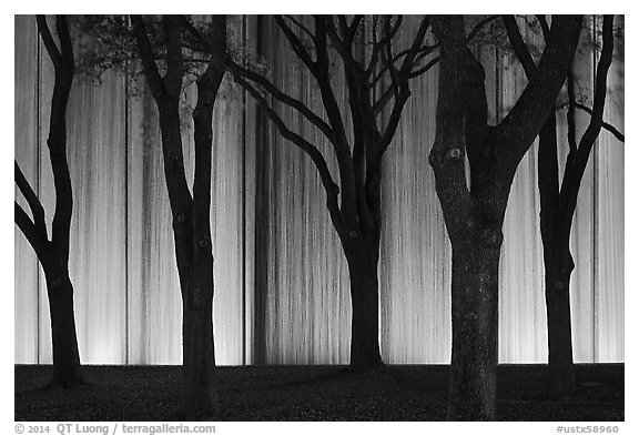 Trees and back Gerald D. Hines Waterwall at night. Houston, Texas, USA (black and white)