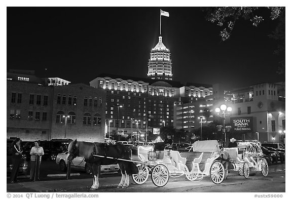 Horse carriages and Tower Life Building at night. San Antonio, Texas, USA (black and white)