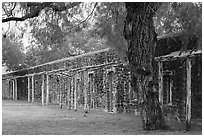 Protective wall, Mission San Jose. San Antonio, Texas, USA ( black and white)