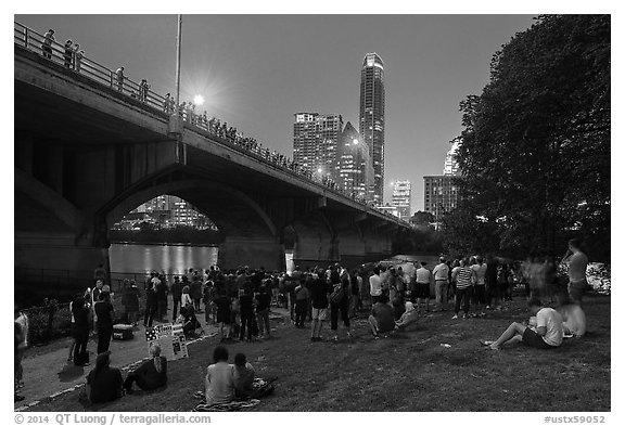 People gathered for dusk bat flight at Congress Bridge. Austin, Texas, USA (black and white)