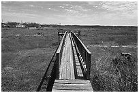 Deck over dried Buchanan Lake, Tow. Texas, USA ( black and white)