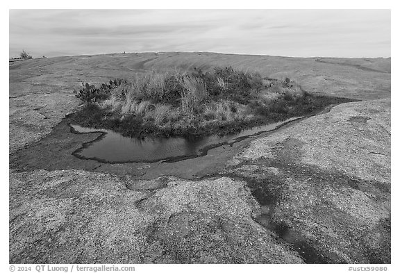 Potholes and vegetation on Enchanted Rock. Texas, USA (black and white)