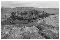 Potholes and vegetation on Enchanted Rock. Texas, USA ( black and white)