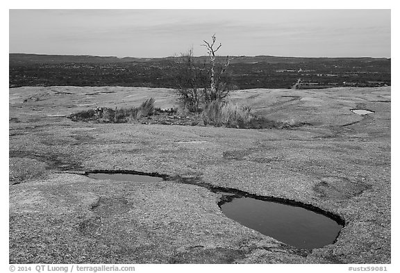 Potholes and trees on top of Enchanted Rock. Texas, USA (black and white)