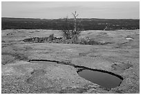 Potholes and trees on top of Enchanted Rock. Texas, USA ( black and white)