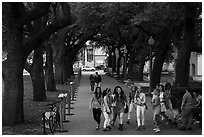 Women students in tree-covered alley, University of Texas. Austin, Texas, USA ( black and white)