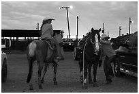 Women preparing to ride horses. Fort Worth, Texas, USA ( black and white)