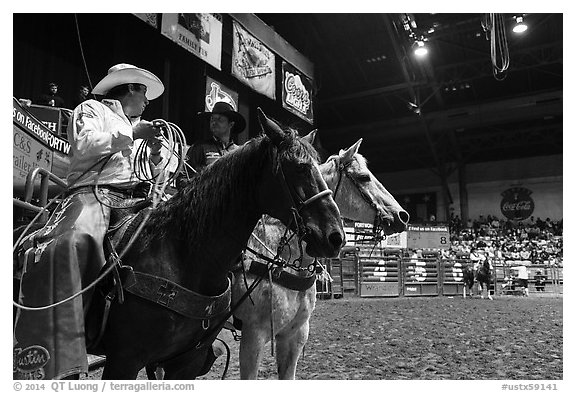 Men riding horses holding lassos. Fort Worth, Texas, USA (black and white)