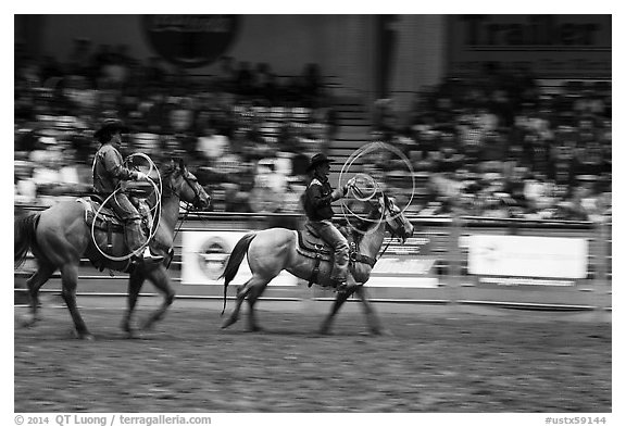Men on horses preparing lassos. Fort Worth, Texas, USA (black and white)