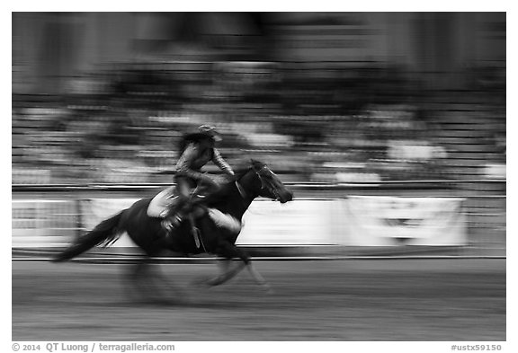 Woman riding horse in speed contest, Stokyards Championship Rodeo. Fort Worth, Texas, USA (black and white)