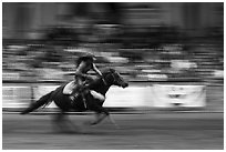 Woman riding horse in speed contest, Stokyards Championship Rodeo. Fort Worth, Texas, USA ( black and white)
