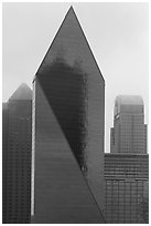 Skyscrapers in rain. Dallas, Texas, USA ( black and white)