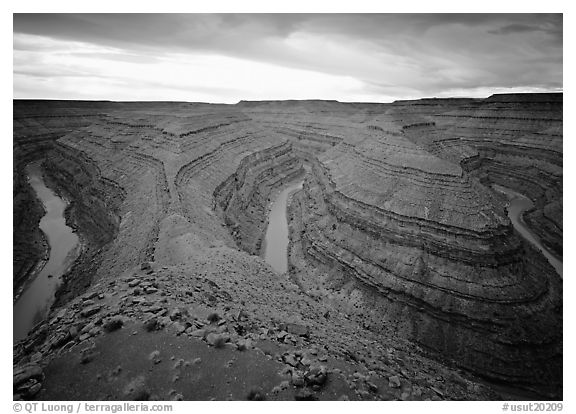 Goosenecks of the San Juan River. Bears Ears National Monument, Utah, USA (black and white)