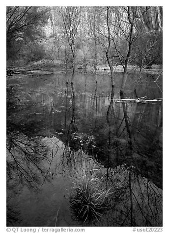 Calf Creek Canyon and reflections. Grand Staircase Escalante National Monument, Utah, USA (black and white)