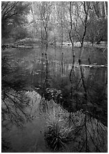 Calf Creek Canyon and reflections. Grand Staircase Escalante National Monument, Utah, USA ( black and white)