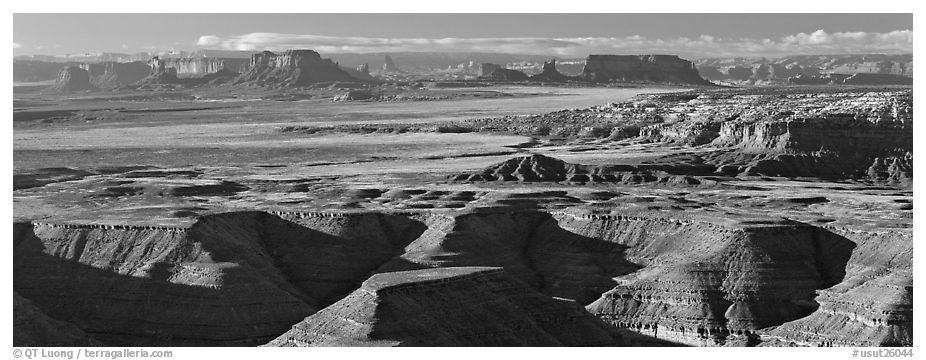 Canyon country scenery. Bears Ears National Monument, Utah, USA (black and white)