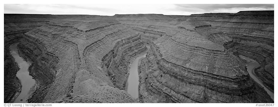 Goosenecks. Bears Ears National Monument, Utah, USA (black and white)