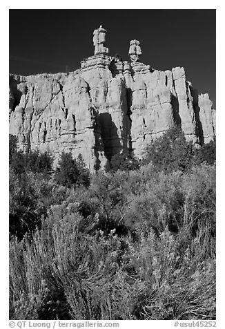 Sagebrush and pink cliffs, Red Canyon. Utah, USA (black and white)