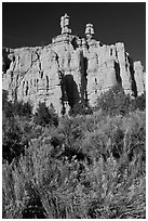 Sagebrush and pink cliffs, Red Canyon. Utah, USA (black and white)