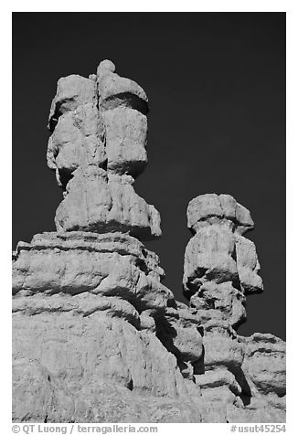 Hoodoos, Red Canyon, Dixie National Forest. Utah, USA (black and white)