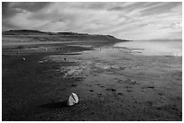 Muddy beach, Antelope Island State Park. Utah, USA ( black and white)
