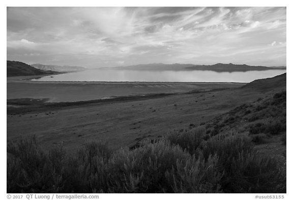 Sagebrush desert and Great Salt Lake from Antelope Island. Utah, USA (black and white)