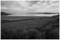 Sagebrush desert and Great Salt Lake from Antelope Island. Utah, USA ( black and white)