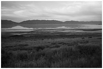 Sagebrush and mountains reflected in Great Salt Lake. Utah, USA ( black and white)