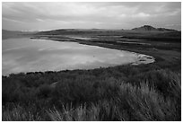 Sagebrush, and Great Salt Lake shore, Antelope Island. Utah, USA ( black and white)