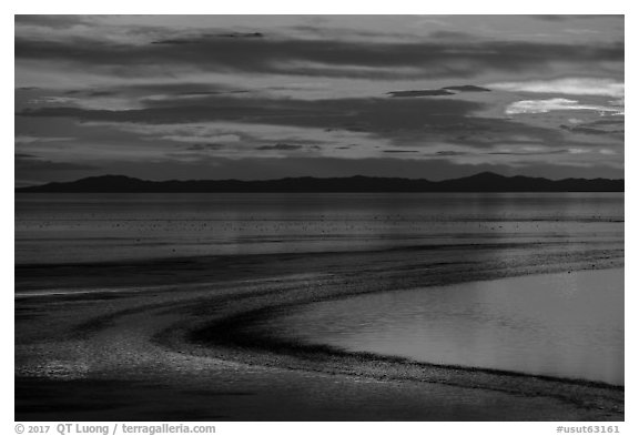 Antelope Island sunset. Utah, USA (black and white)