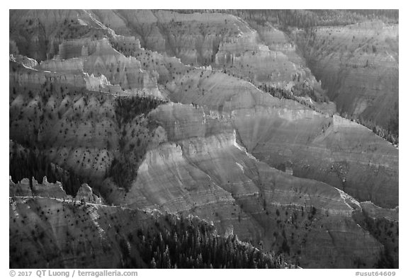 View from Chessmen Ridge Overlook. Cedar Breaks National Monument, Utah, USA (black and white)