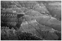 View from Chessmen Ridge Overlook. Cedar Breaks National Monument, Utah, USA ( black and white)