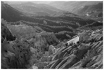 Eroded ridges and forest. Cedar Breaks National Monument, Utah, USA ( black and white)