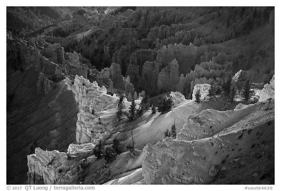 Colorful eroded rocks. Cedar Breaks National Monument, Utah, USA (black and white)