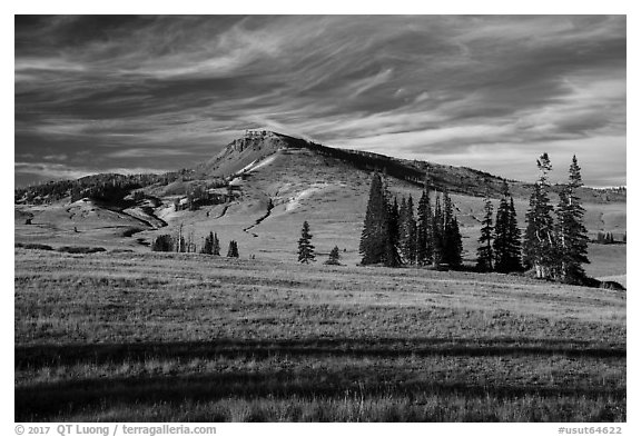 Brian Head. Cedar Breaks National Monument, Utah, USA (black and white)