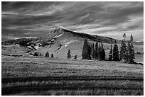 Brian Head. Cedar Breaks National Monument, Utah, USA ( black and white)