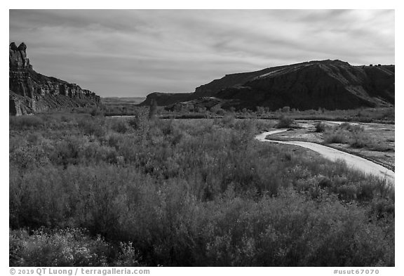 Autum foliage and stream, Cottonwood Canyon. Grand Staircase Escalante National Monument, Utah, USA (black and white)